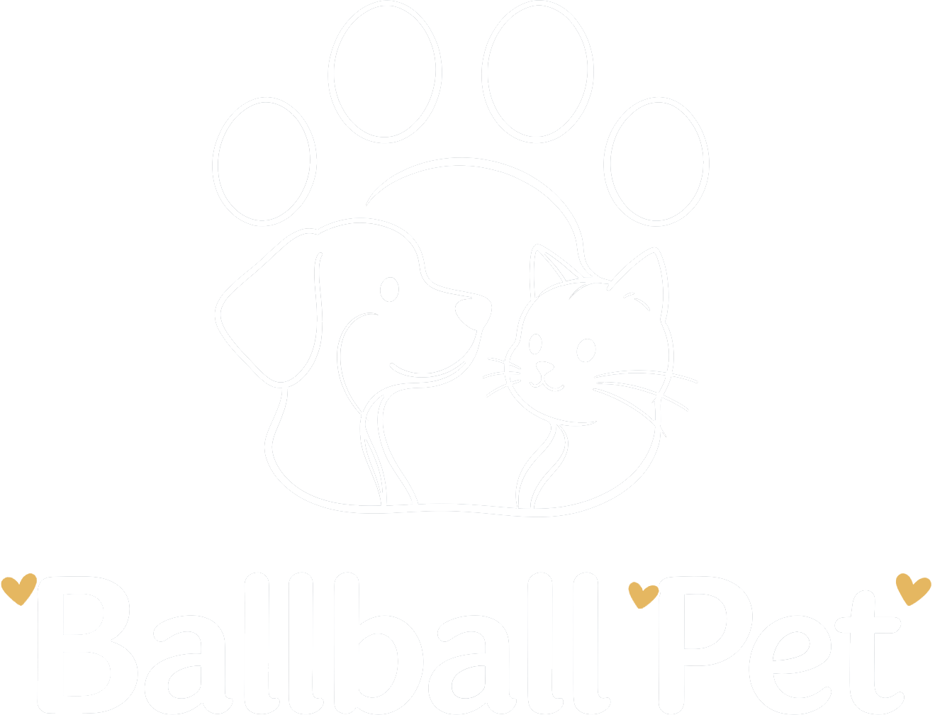 Ballball Pet